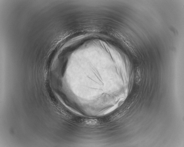 X0000115800355200912111214