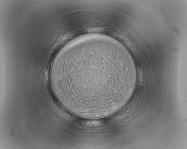 X0000115800357200912111214