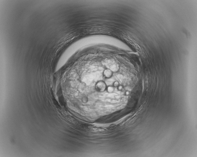 X0000115800359200912111214