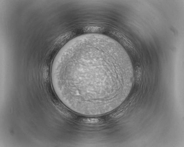 X0000115800361200912111214