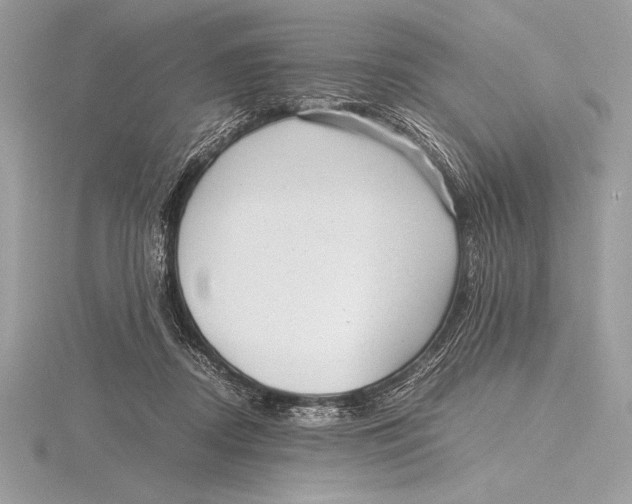 X0000115800362200912111214