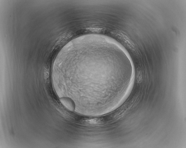 X0000115800365200912111214