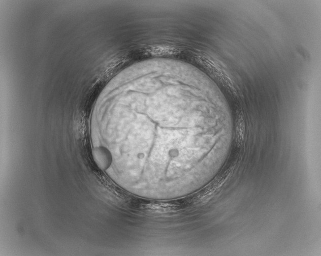 X0000115800367200912111214