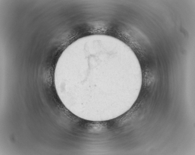 X0000115800370200912111214