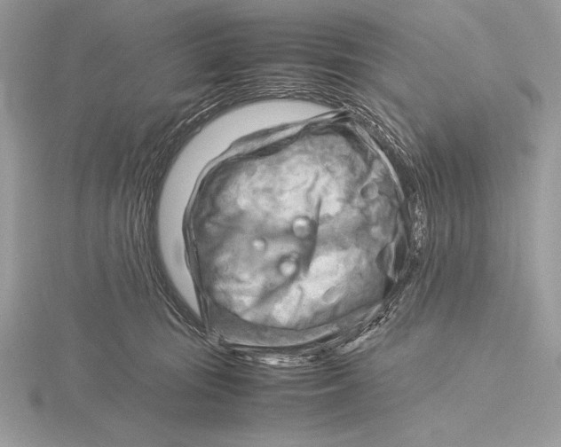 X0000115800371200912111214