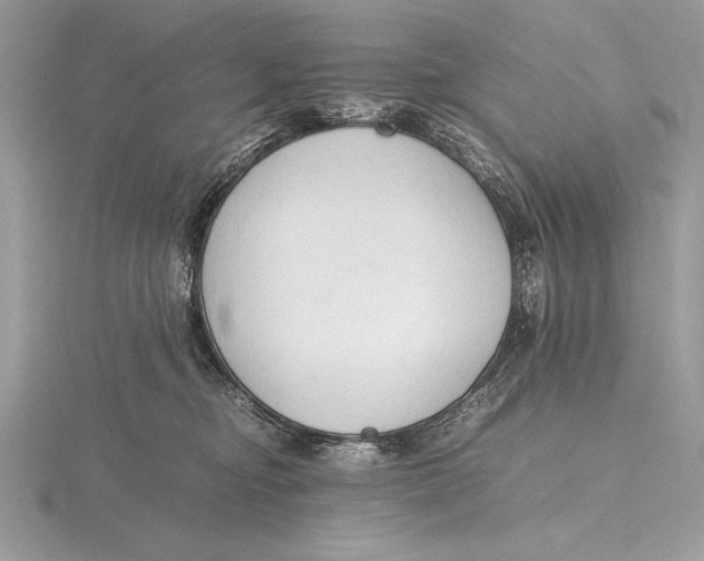 X0000115800374200912111214