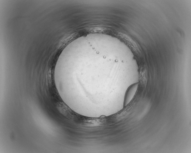 X0000115800381200912111214