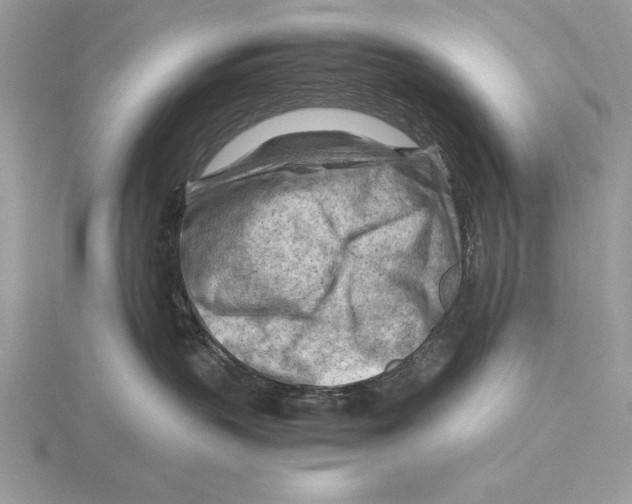 X0000115800383200912111214