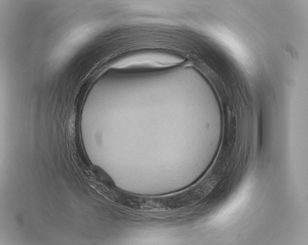 X0000115800387200912111214