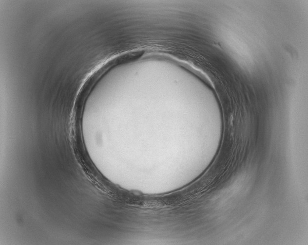 X0000115800388200912111214