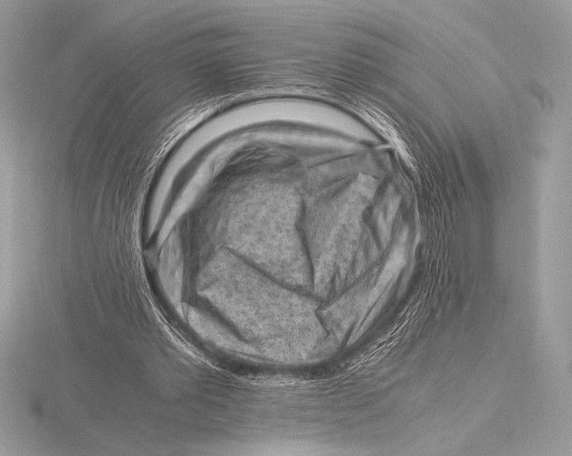 X0000115800389200912111214