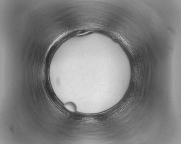 X0000115800392200912111213