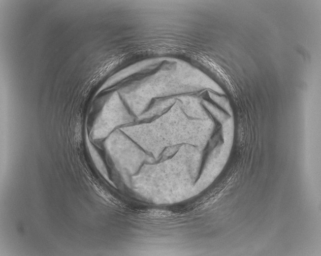 X0000115800393200912111213