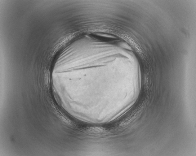 X0000115800397200912111213