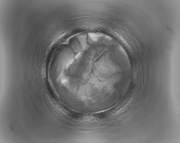 X0000115800399200912111213