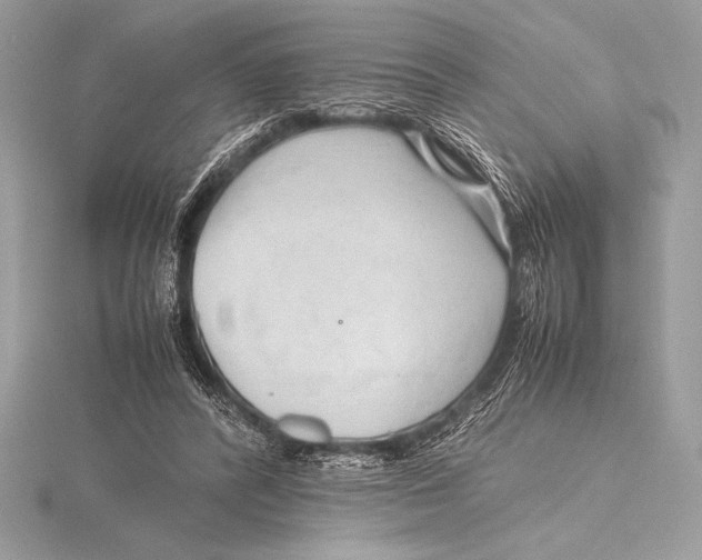 X0000115800400200912111213