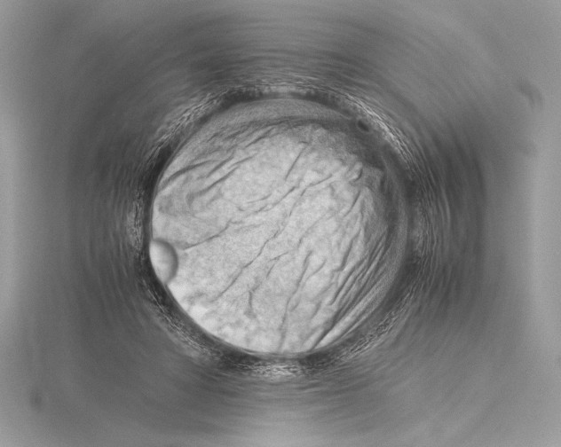 X0000115800402200912111213