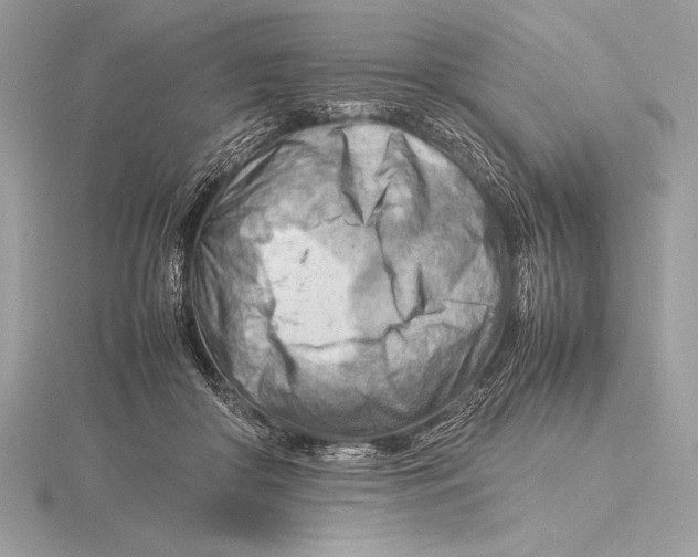 X0000115800410200912111213