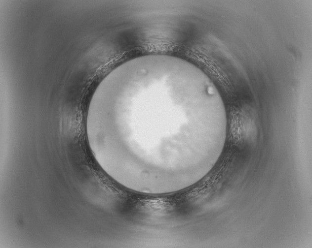 X0000115800411200912111213