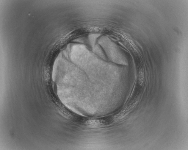 X0000115800413200912111213