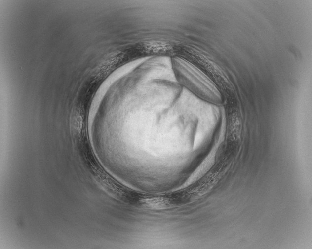 X0000115800417200912111213