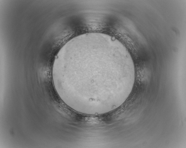 X0000115800419200912111213