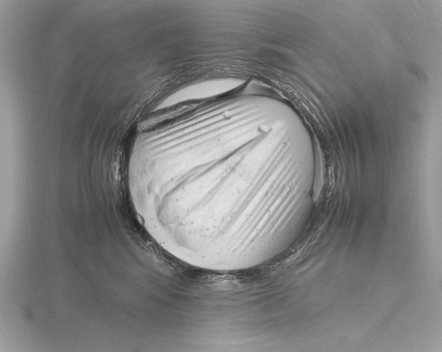 X0000115800424200912111213