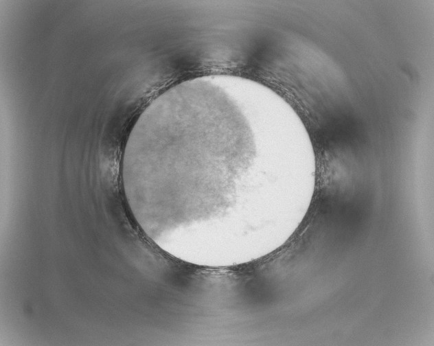 X0000115800427200912111213