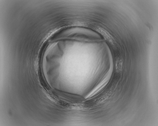 X0000115800436200912111212