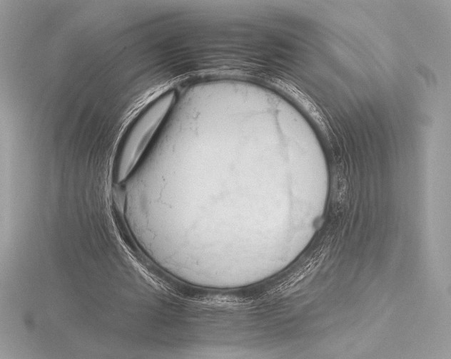 X0000115800437200912111212