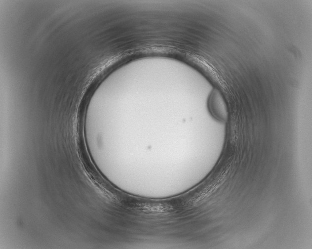 X0000115800439200912111212