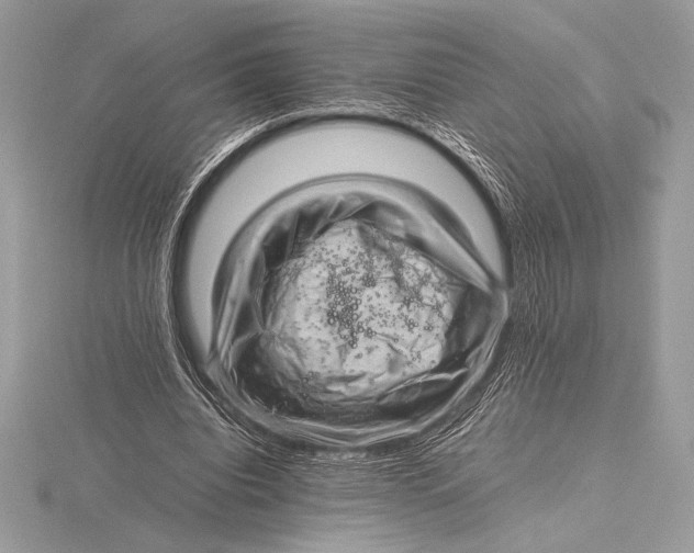 X0000115800440200912111212