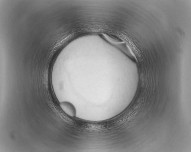 X0000115800442200912111212