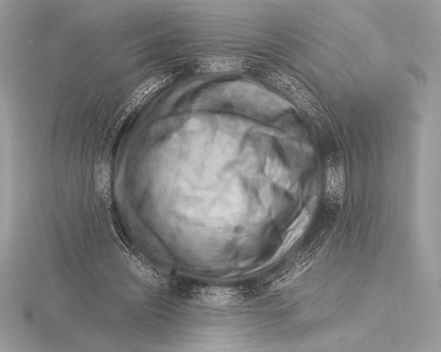 X0000115800444200912111213