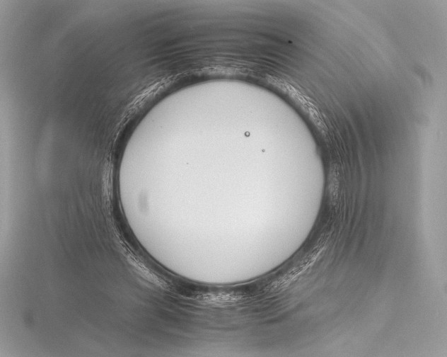 X0000115800445200912111213