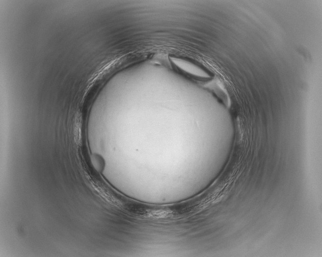 X0000115800446200912111213