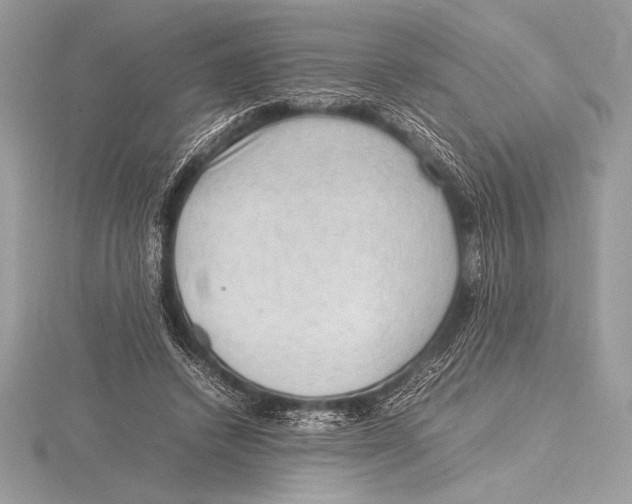 X0000115800448200912111213