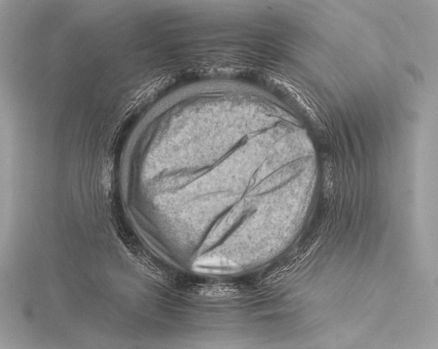 X0000115800451200912111213