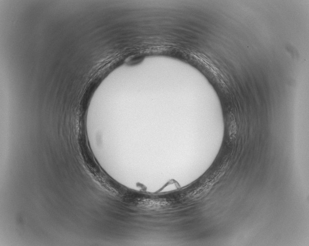 X0000115800455200912111213