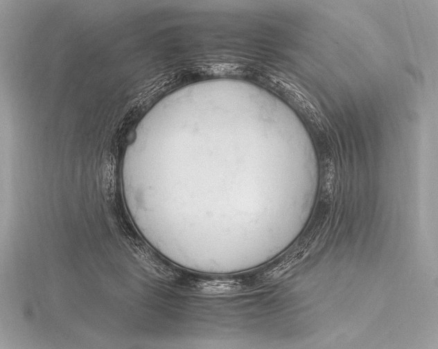 X0000115800461200912111213