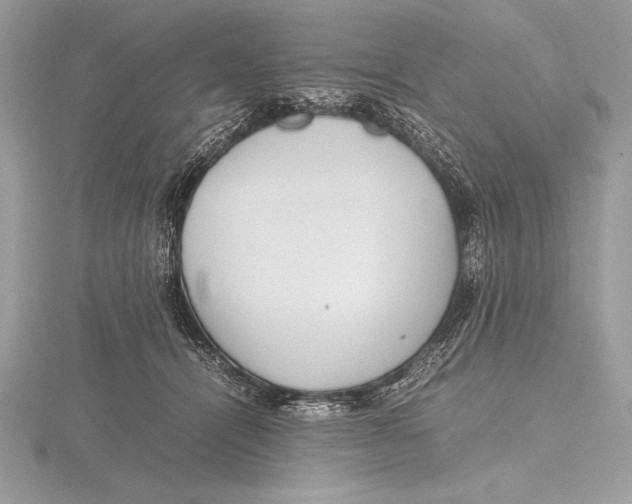 X0000115800464200912111213