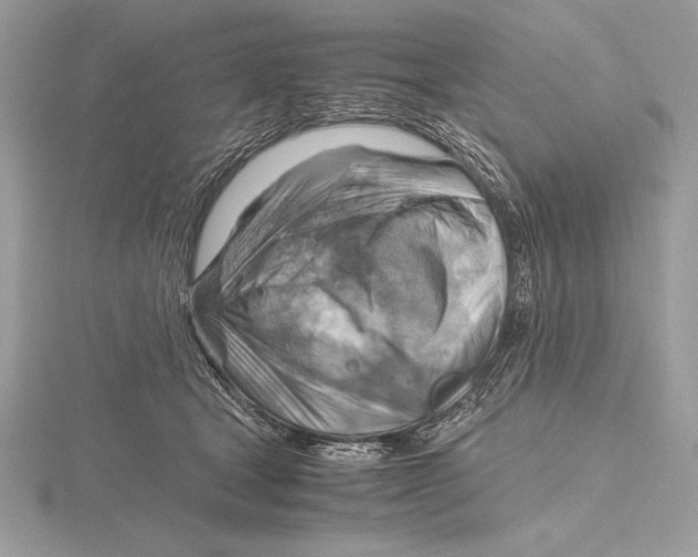 X0000115800465200912111213