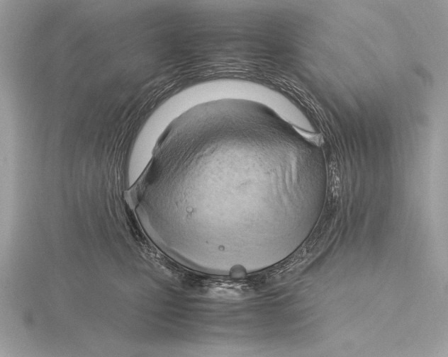 X0000115800471200912111213