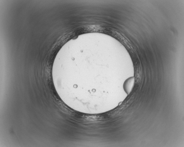 X0000115800473200912111213