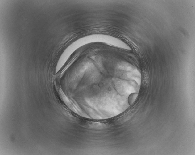 X0000115800475200912111213