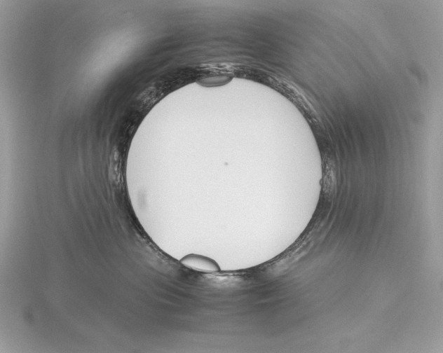 X0000115800477200912111213