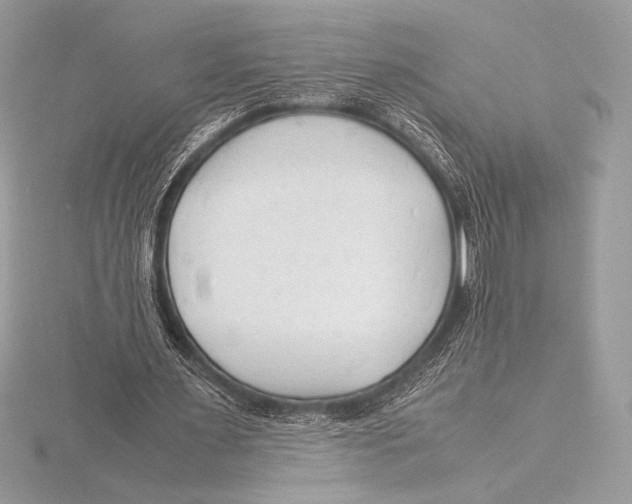 X0000115800483200912111212