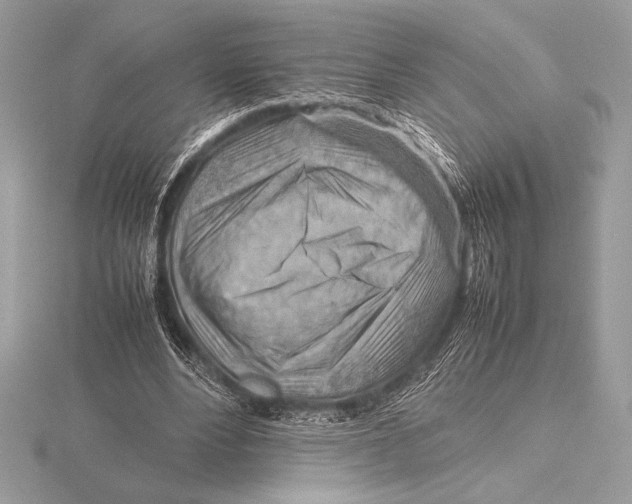 X0000115800488200912111212