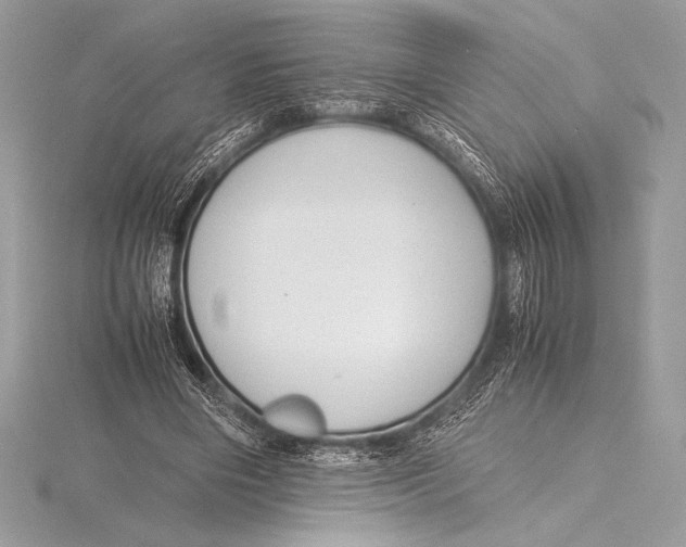 X0000115800490200912111212