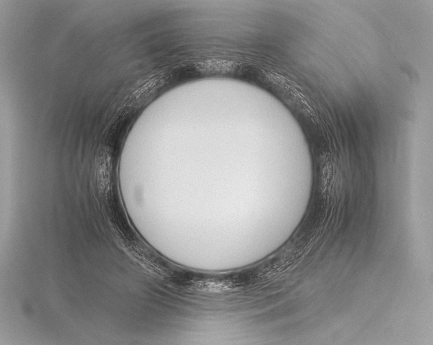 X0000115800498200912111212